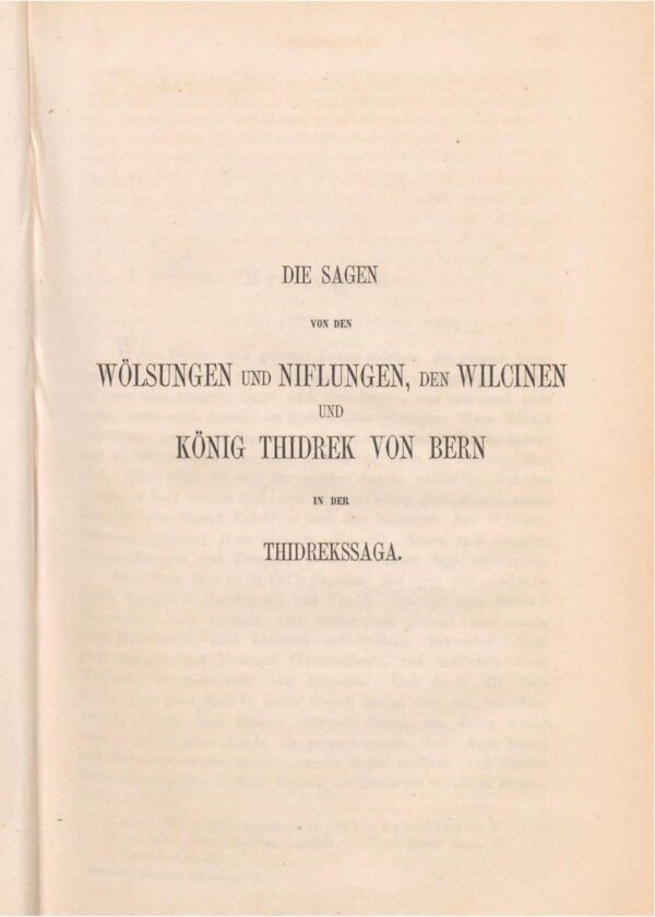 Die Geschichte von Dietrich von Bern und seinen Ahnen (eBuch) – Bild 14